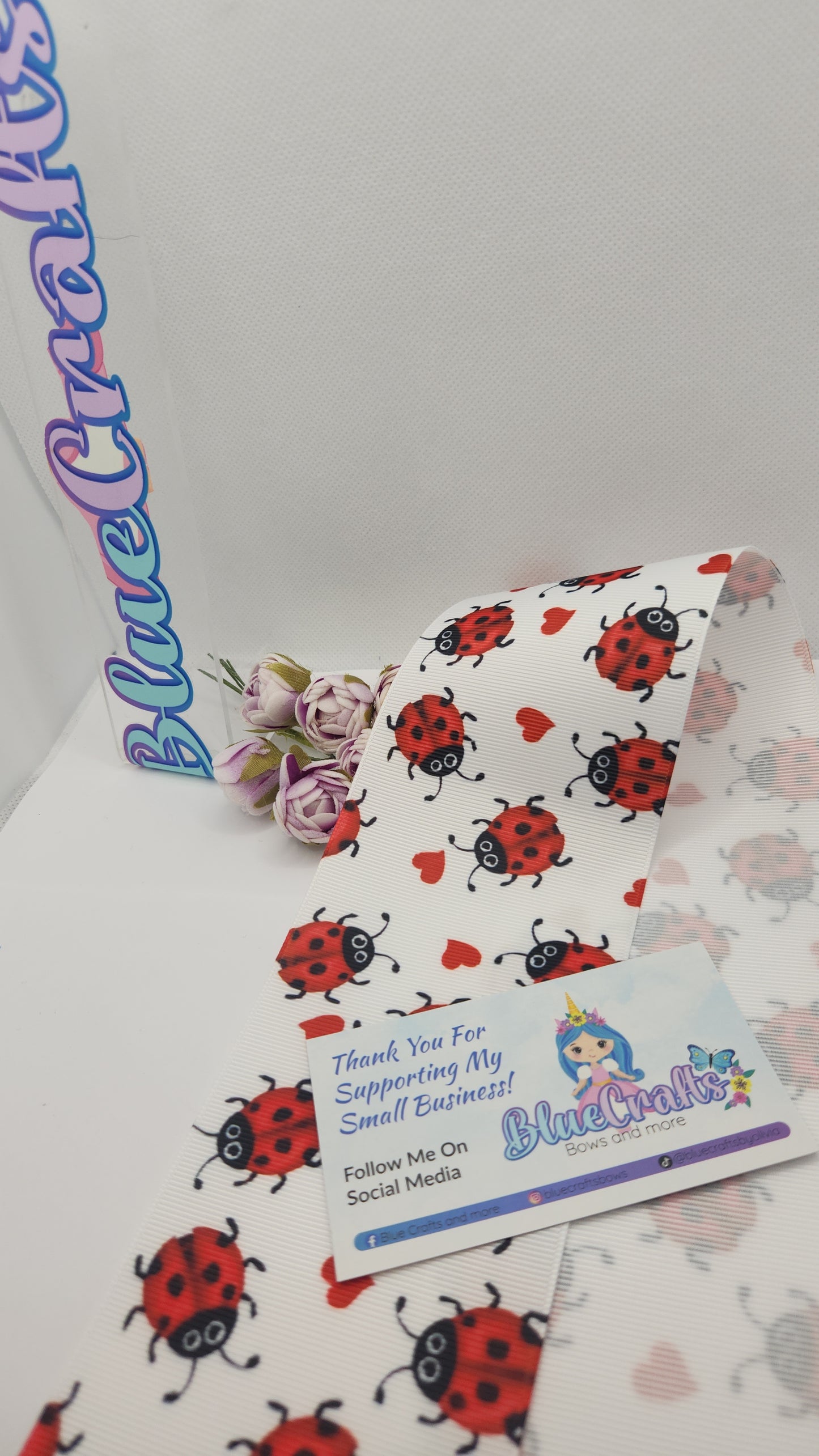 Grosgrain Ribbon 3 inch "Ladybug"